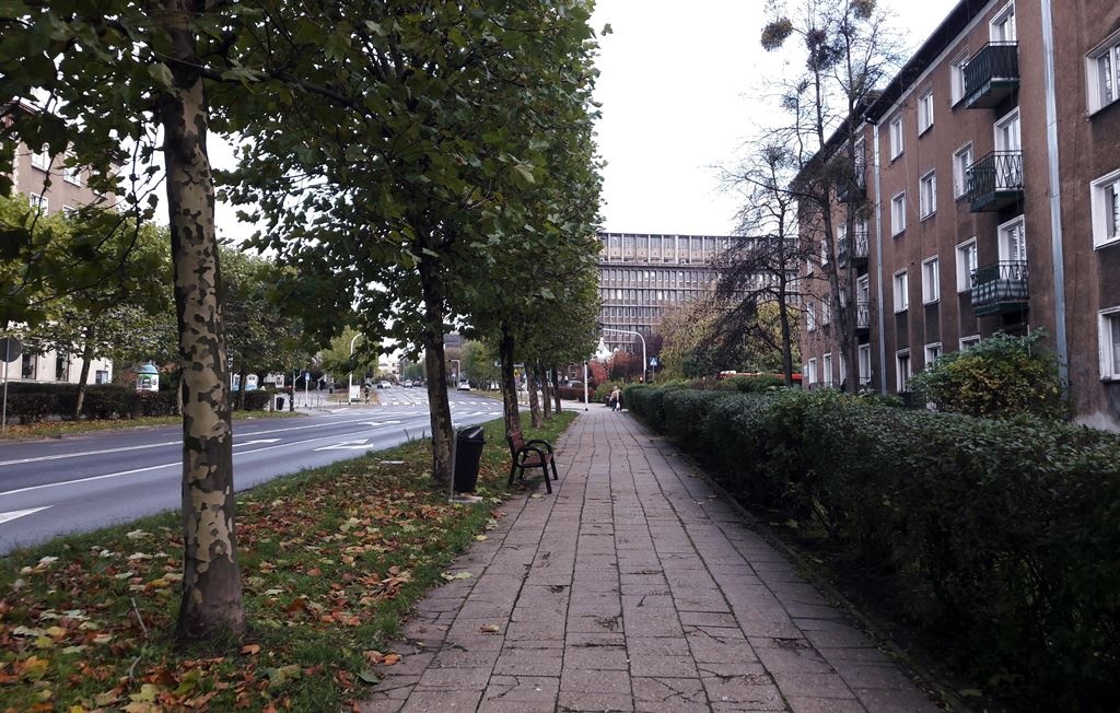 Dzień dobry Katowice. Urząd miasta zbada co mieszkańcy wyrzucają do śmieci