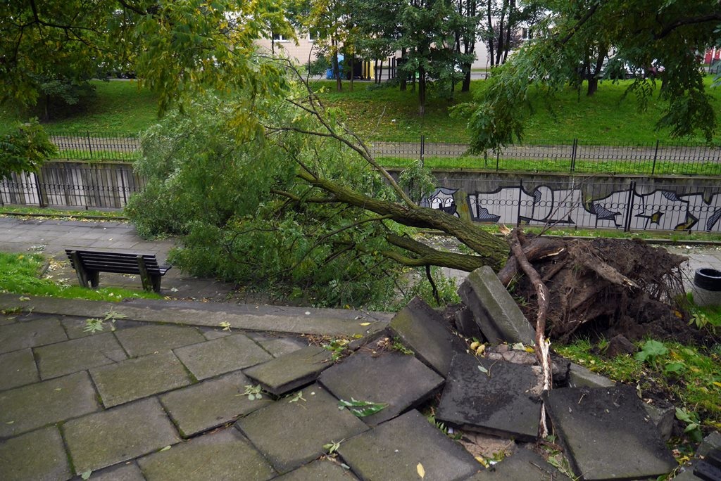Nad Katowicami przeszła wichura. Drzewa spadały na samochody [ZDJĘCIA]