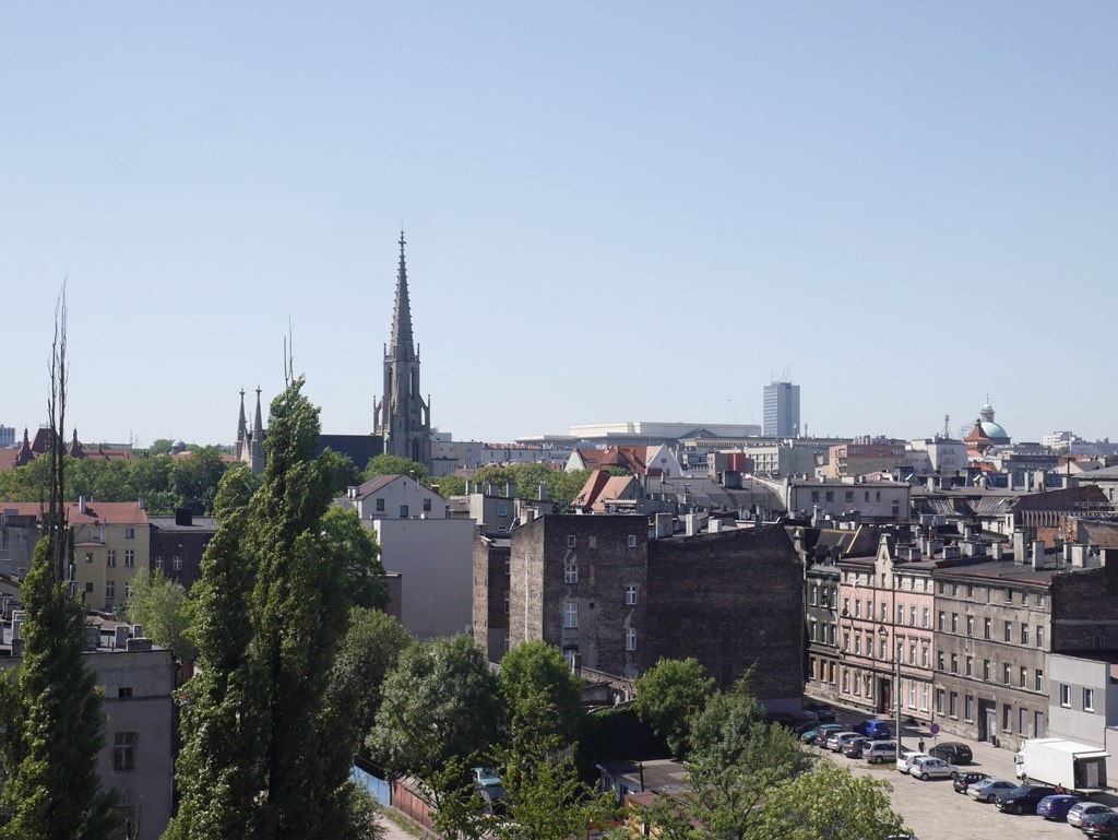 Dzień dobry Katowice. Czy jedzenie owoców z drzew w centrum miasta jest bezpieczne?