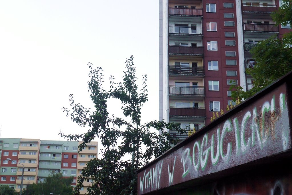 Zwierzenia matki dwóch rannych mężczyzn po ataku kiboli w Katowicach