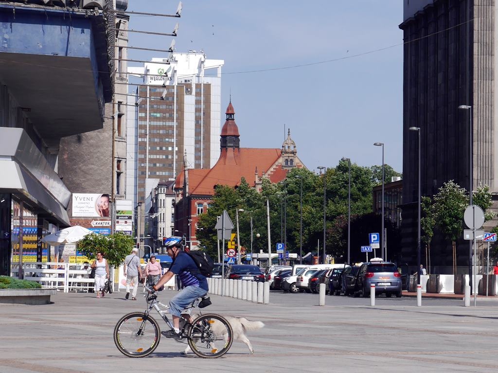 Rowerowe filmy w Parku Śląskim