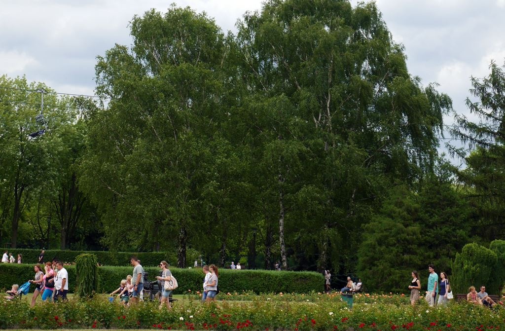 Weekend na mieście. czyli co ciekawego dzieje się w Katowicach i okolicy
