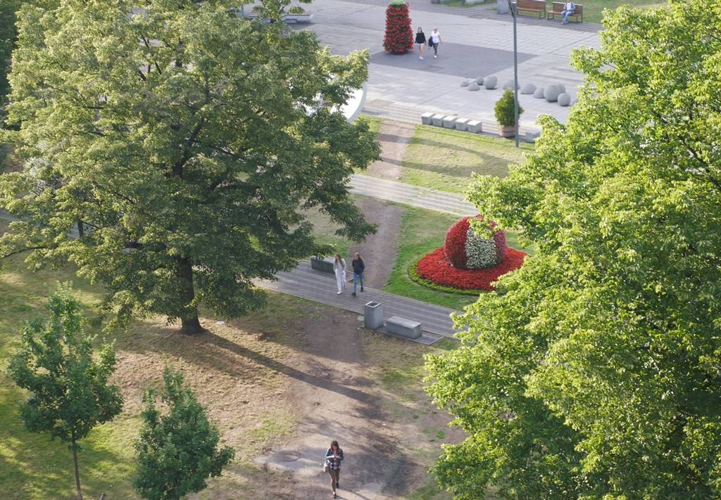 Dzień dobry Katowice. Miasto chce odkupić działkę na Mariackiej