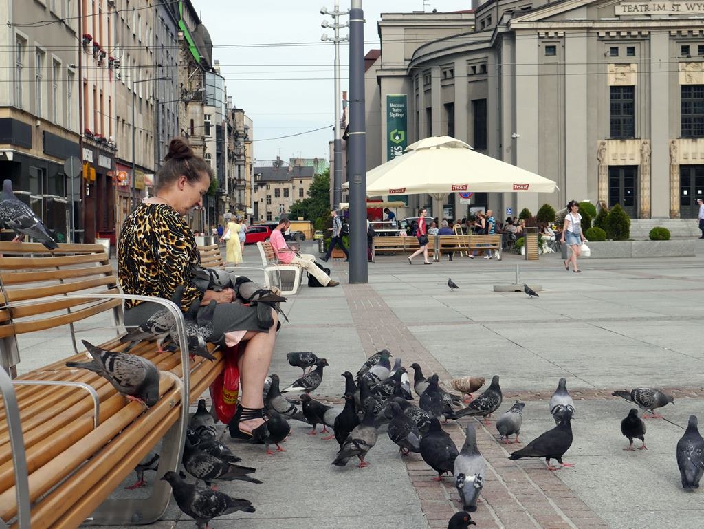Dzień dobry Katowice. Szykują się kolejne remonty w Spodku