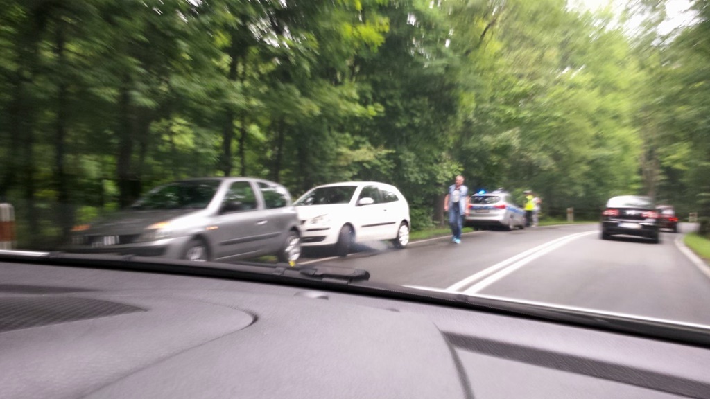 Motocyklista jechał za szybko i wypadł z drogi