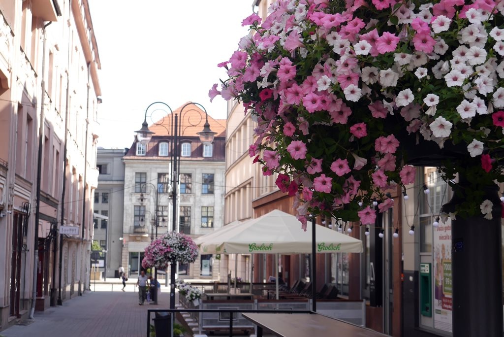 Dzień dobry Katowice. Dzisiaj może popadać
