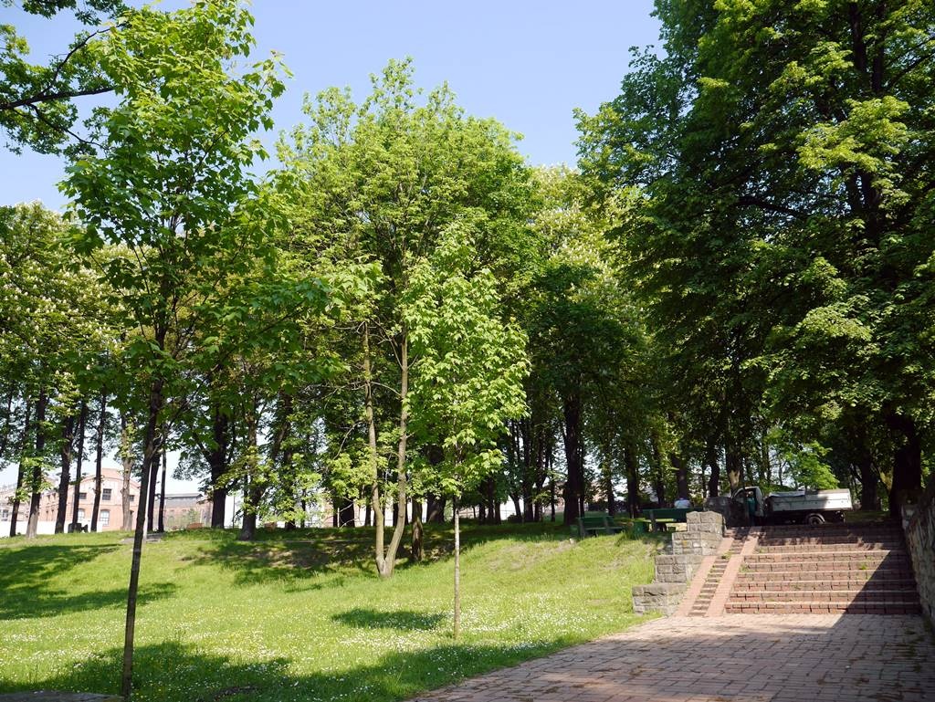 Święto dzielnicy w parku. Trwają Dni Bogucic
