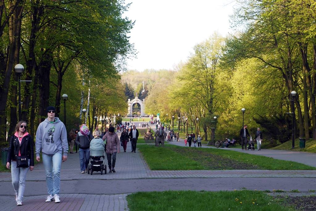 Noc świętojańska w Parku Śląskim. 