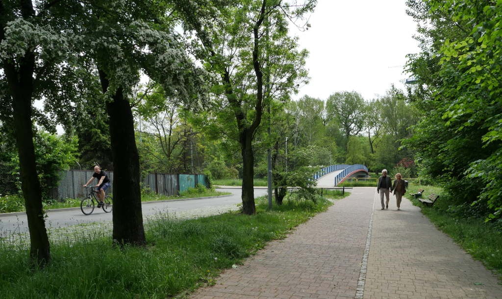 Dzień dobry Katowice. To będzie pogodny dzień