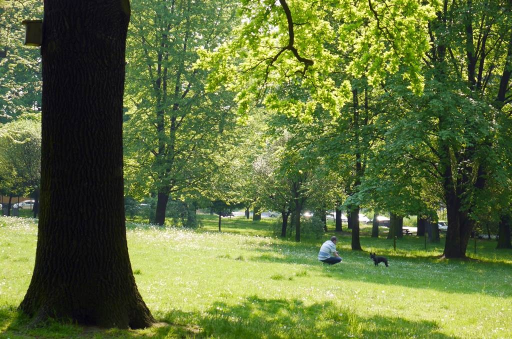 Dzień dobry Katowice. Dziś początek wystawy dzieł Zdzisława Beksińskiego