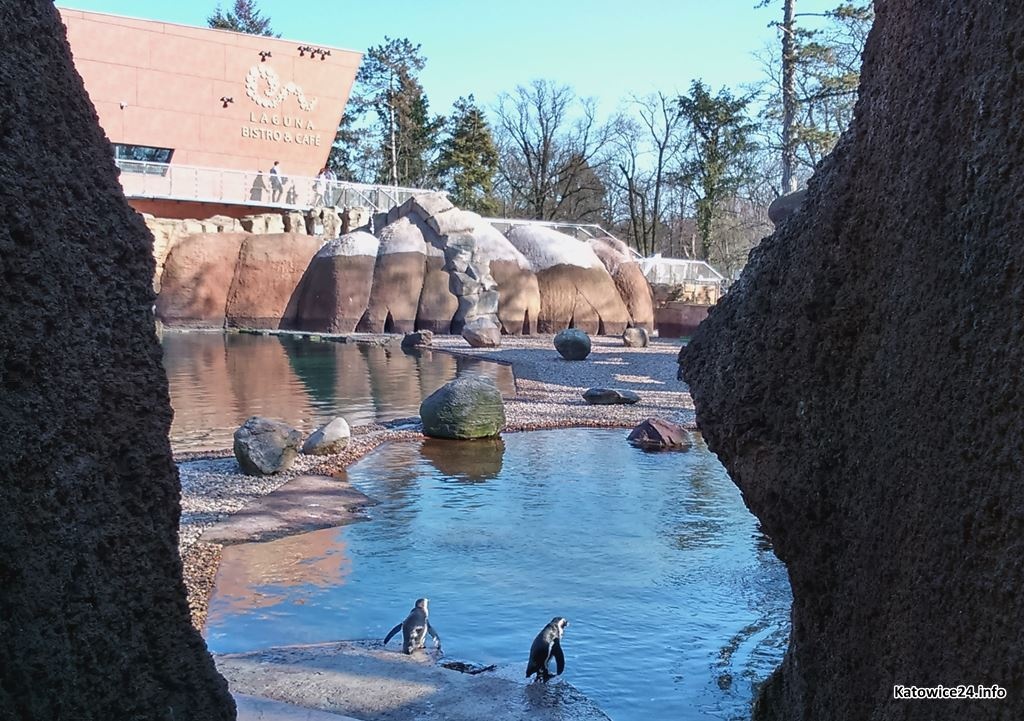 Oceanarium nadal może powstać w Katowicach