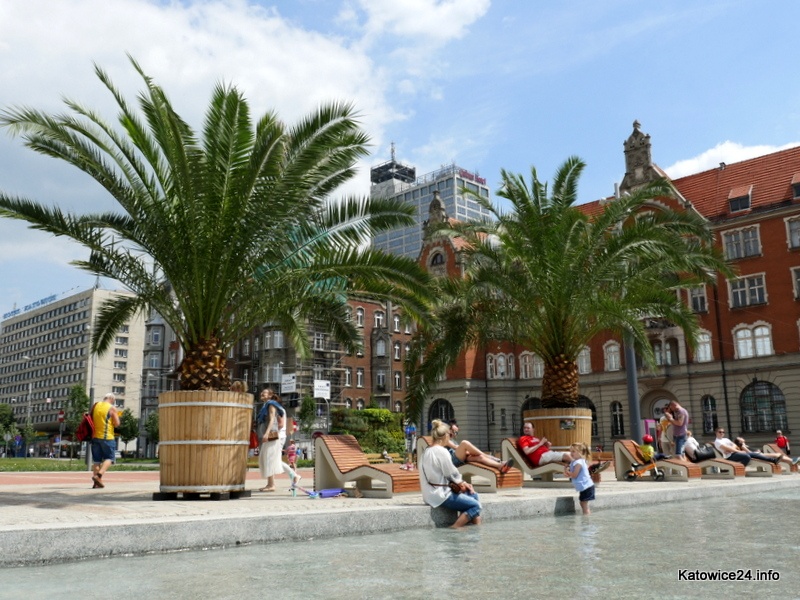 W niedzielę na Rynek w Katowicach wrócą palmy