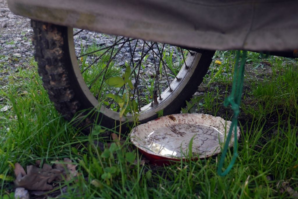 Dokarmiała koty na parkingu na os.Tysiąclecia. Nie spodobało się to sąsiadce