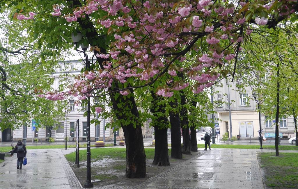 Dzień dobry Katowice. Zaczyna się długi weekend