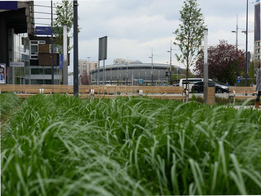 Dzień dobry Katowice. Dziś w nocy wróci zima