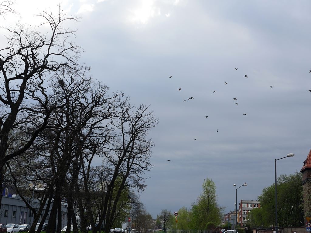 Dzień dobry Katowice. To będzie deszczowy dzień