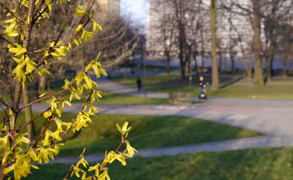 Dzień dobry Katowice. Dzisiaj strajk nauczycieli