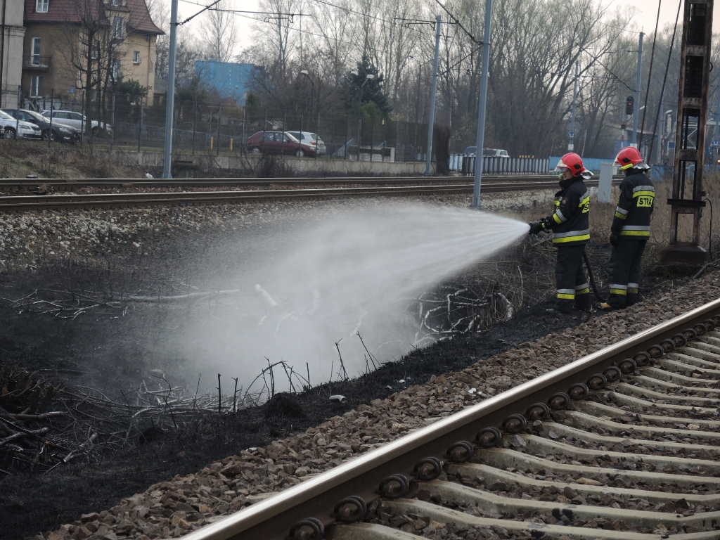 Pożar przy wiadukcie w Piotrowicach