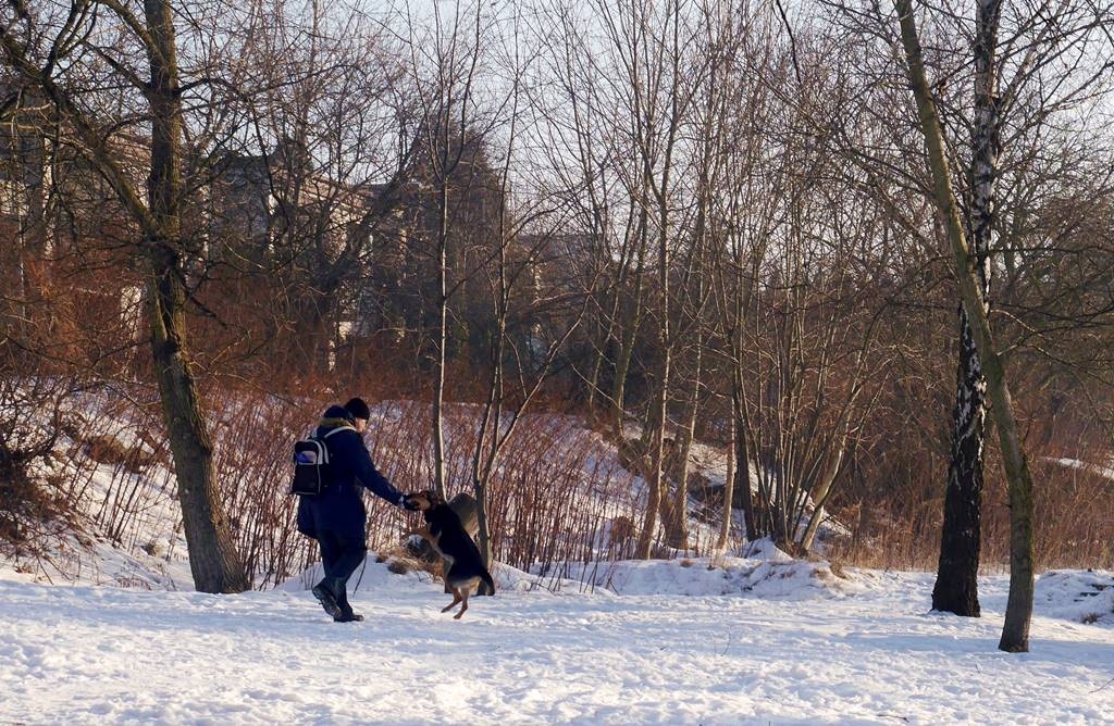 Dzień dobry Katowice. Dziś Koleje Śląskie wożą pasażerów za darmo