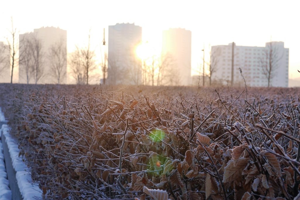 Dzień dobry Katowice. Dziś na ulice wyjdą studenci