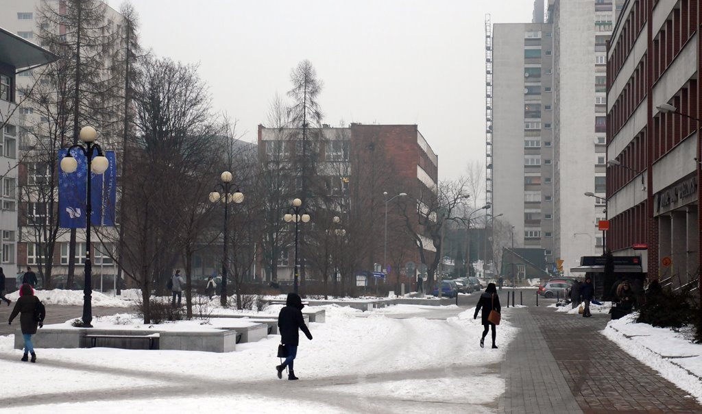 Dzień dobry Katowice. Dzisiaj konferencja o reformie oświaty