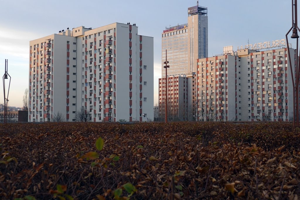 Dzień dobry Katowice