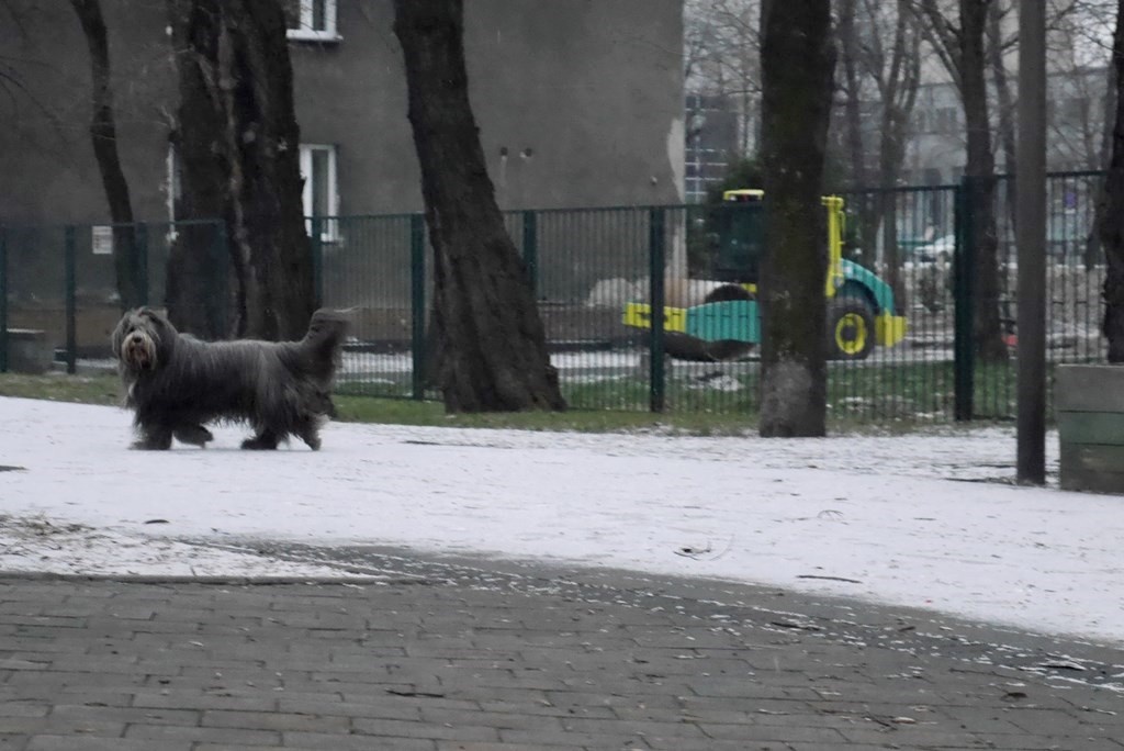 Dzień dobry Katowice