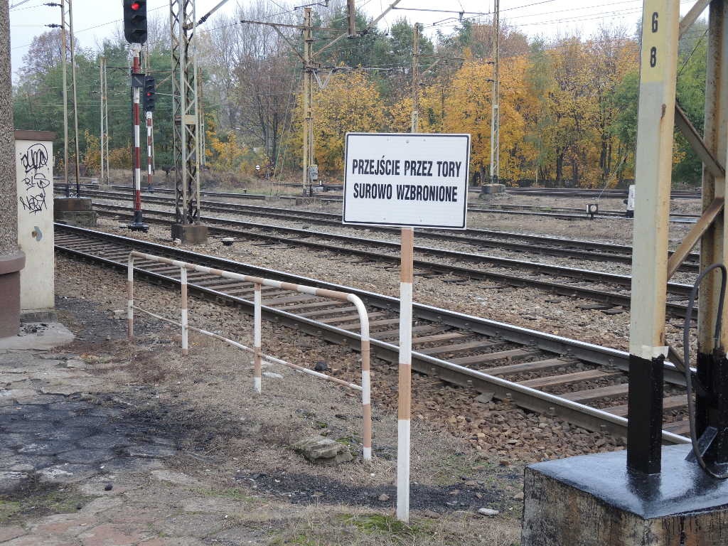 Jak doszło do śmiertelnego wypadku na torach w Załężu? Policja szuka świadków