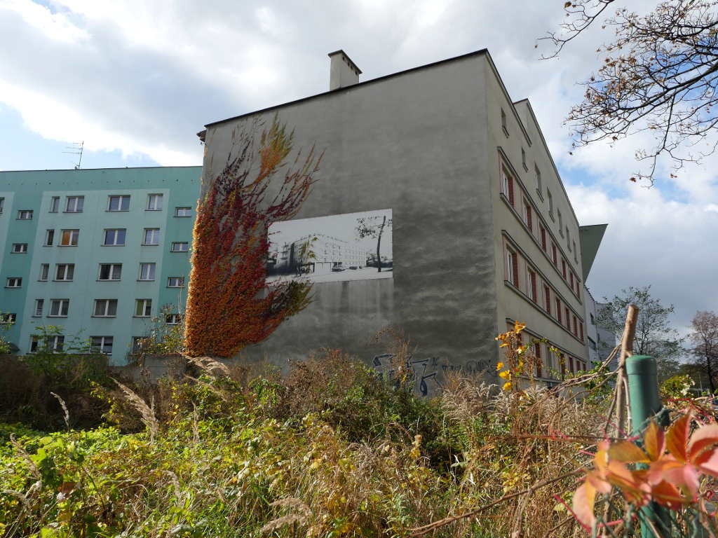 Dzień dobry Katowice. Robi się coraz cieplej