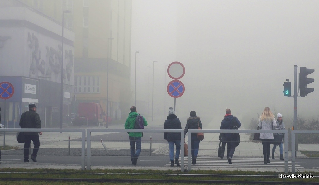 Dzień dobry Katowice