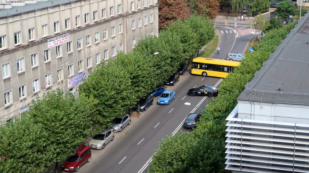 Jedni biegli, drudzy stali. Podczas PKO Silesia Marathon coś poszło nie tak