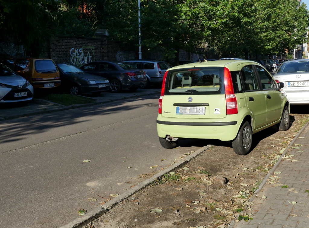Będzie więcej zieleni w centrum Katowic