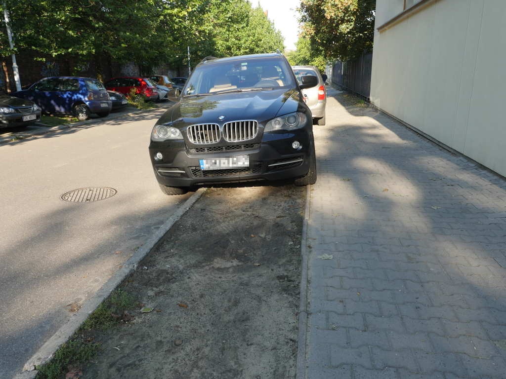 Trawniki bez samochodów. Szansa na więcej zieleni w mieście