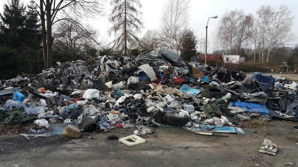 Miasto zlikwiduje ponad sto dzikich wyspisk