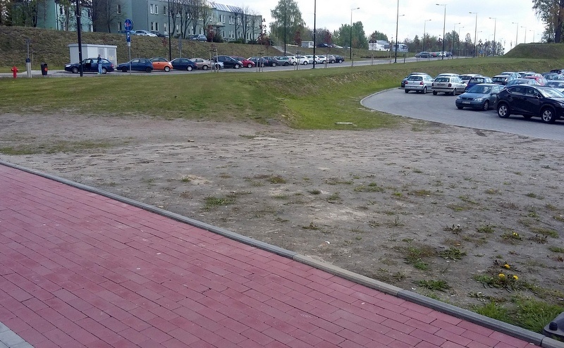 Zniknie klepisko na trawniku przy NOSPR