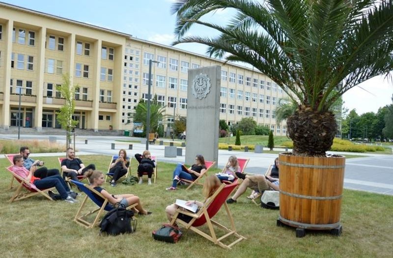 Gliwice pozazdrościły sukcesu palmom w Katowicach
