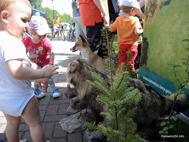 Piknik Ekoodpowiedzialnie na Muchowcu przyciągnął tysiące mieszkańców