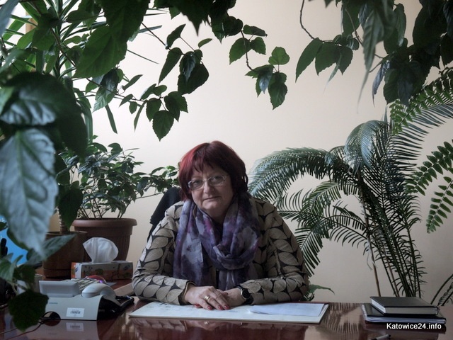 Program 500 plus niektóre osoby może jeszcze bardziej zniechęcić do pracy - mówi dyrektor PUP w Katowicach [WYWIAD]