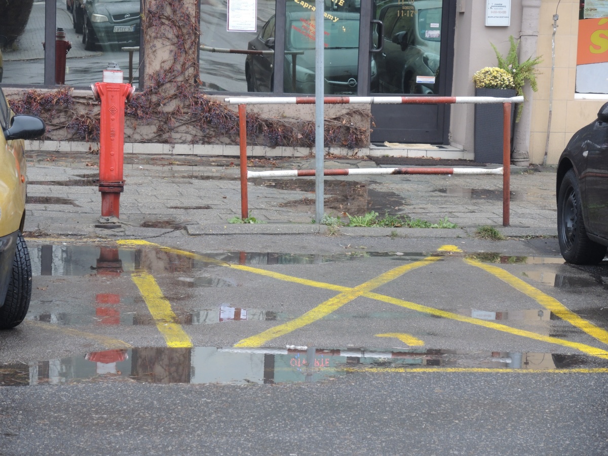 Koperta parkingowa w Katowicach ma być dobrem luksusowym