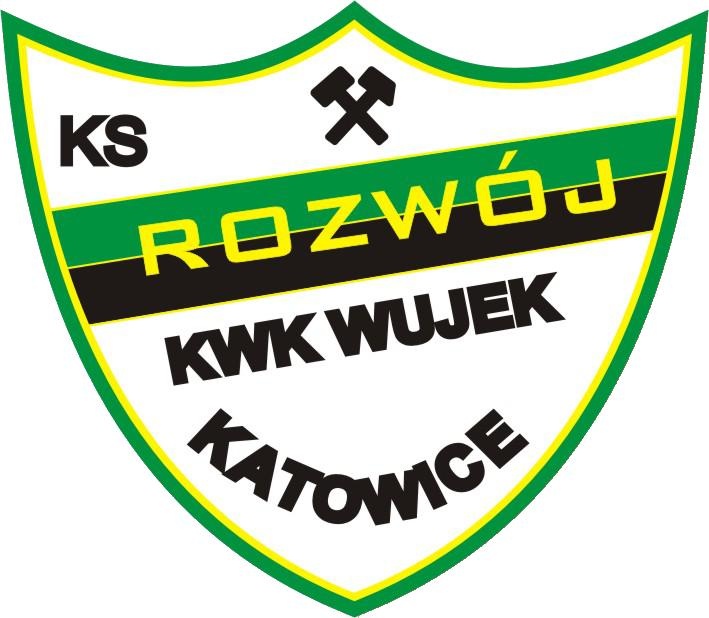 Rozwój Katowice w I lidze. Co to oznacza?