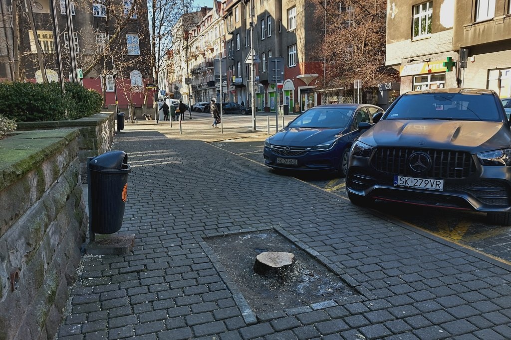 Miasto wycięło drzewo w centrum. Było w kiepskim stanie