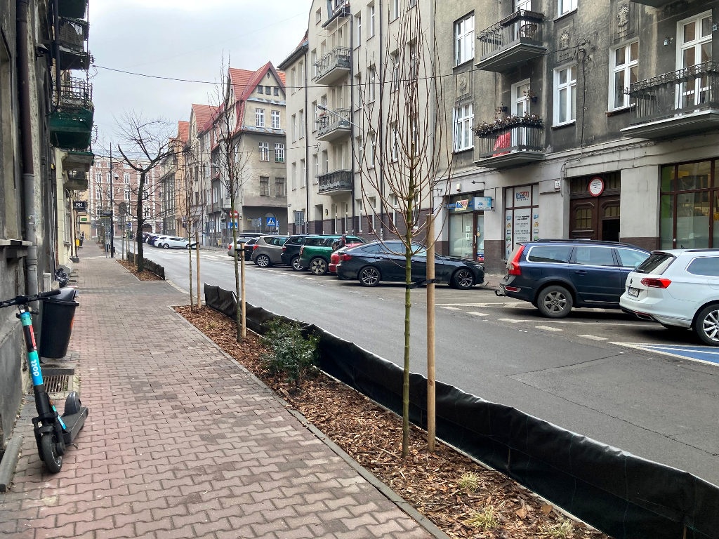 Z trzyletnim opóźnieniem powstał w końcu pas zieleni na ul. Żwirki i Wigury. To pierwsza taka ulica w centrum Katowic