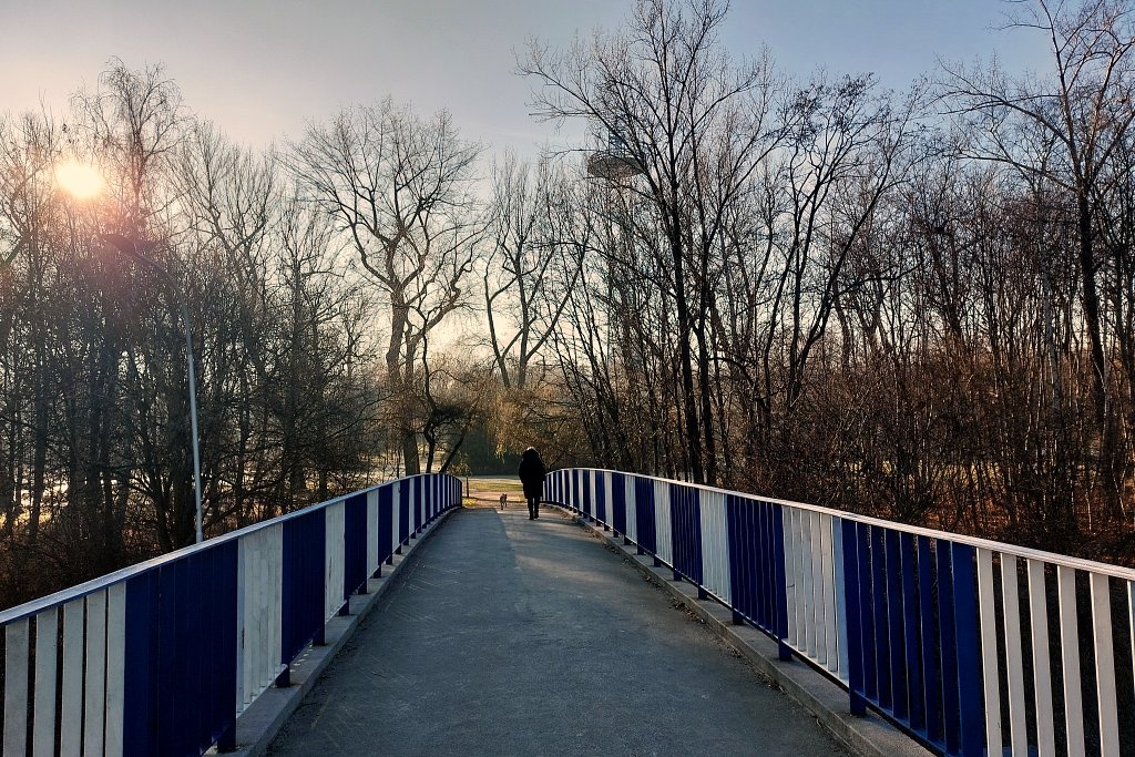 Dzień dobry Katowice. Miasto chce budować farmy fotowoltaiczne