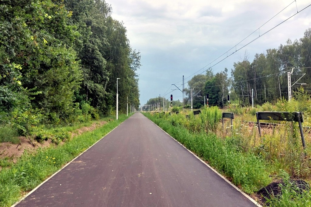 Tychy bliżej budowy velostrady niż Katowice. Ogłosiły przetarg na drogę dla rowerów