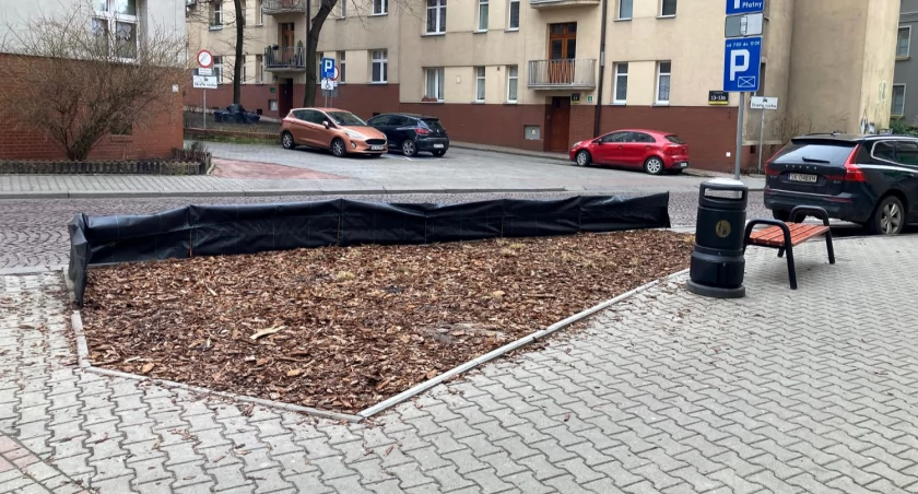 Z kilkuletnim opóźnieniem w centrum Katowic powstały nowe zieleńce. To projekty z Budżetu Obywatelskiego