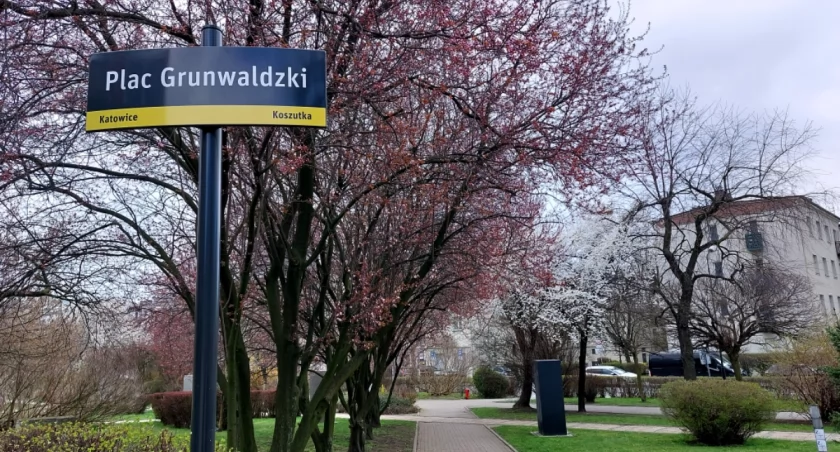 Czyje popiersie stanie na pl. Grunwaldzkim? Wśród kandydatów Sówka, Jarecki, Holoubek i inni 
