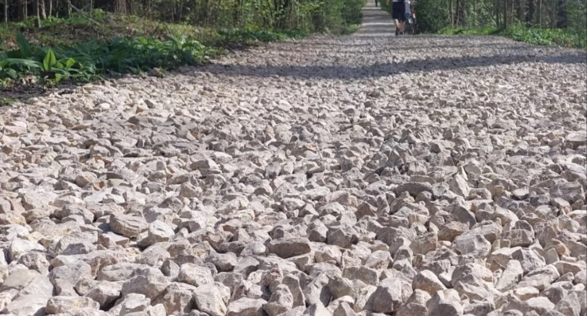 Leśnicy remontują kolejny odcinek popularnej trasy rowerowej. Zostanie na niej wysypany kamień