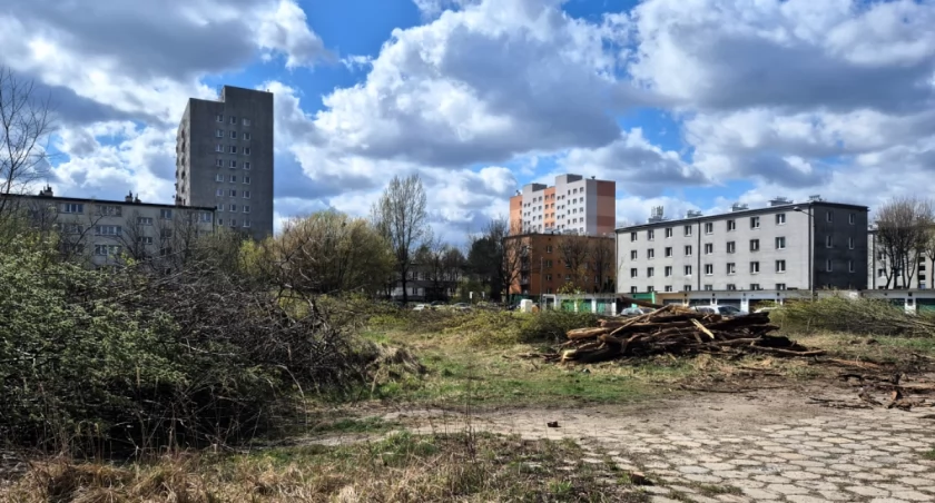 Dzień dobry Katowice. Mieszkańcy interweniują przeciwko likwidacji zieleni 