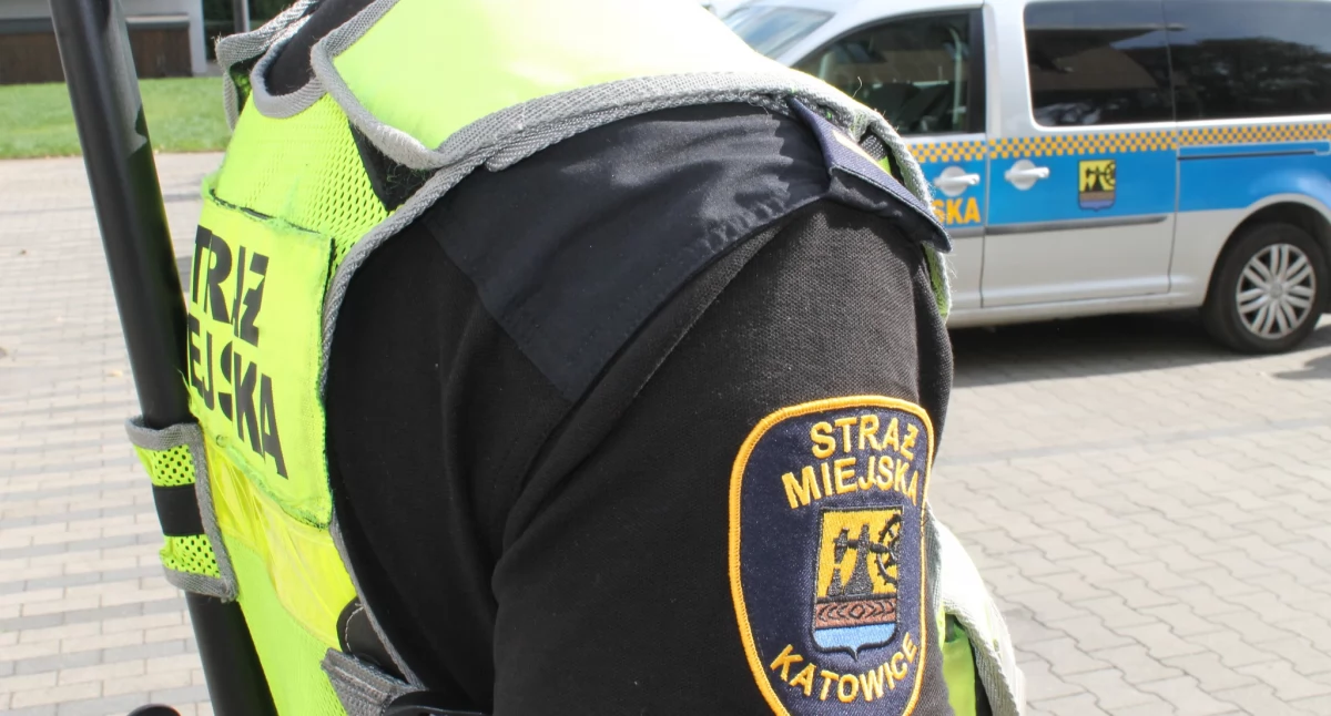 Kopali leżącego po głowie. Strażnicy zatrzymali agresorów
