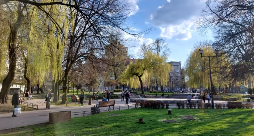 Dzień dobry Katowice. Miasto planuje utworzyć nowy park
